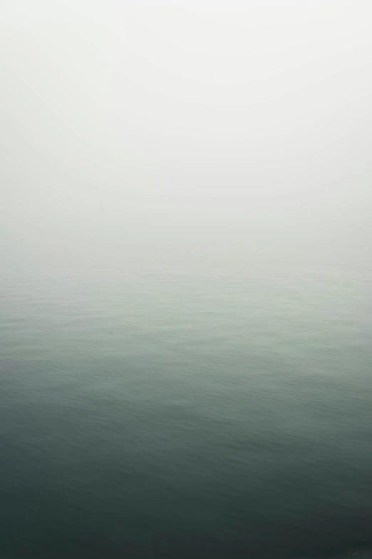 people in the ocean, on their surf boards