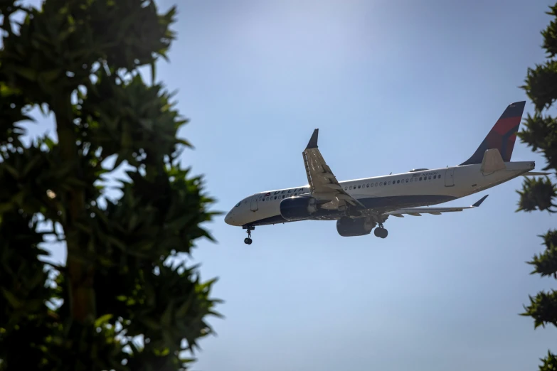 an airplane flies past a tree filled sky