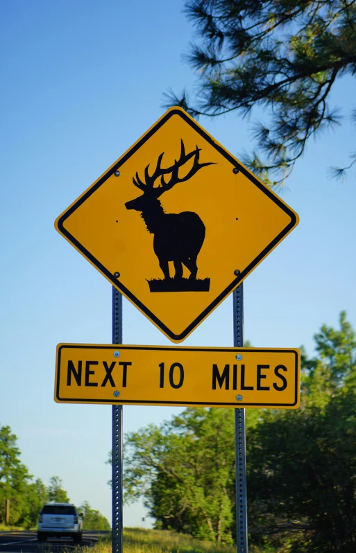 a yellow street sign with an image of an animal