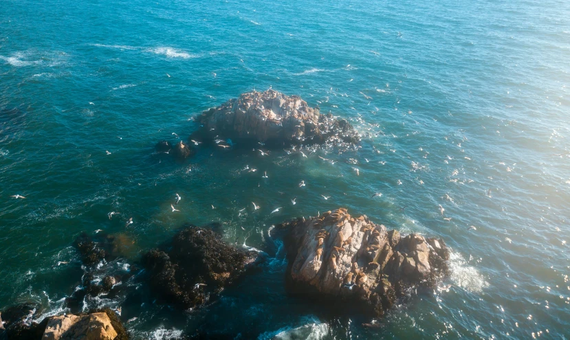 two rocks sitting out in the water