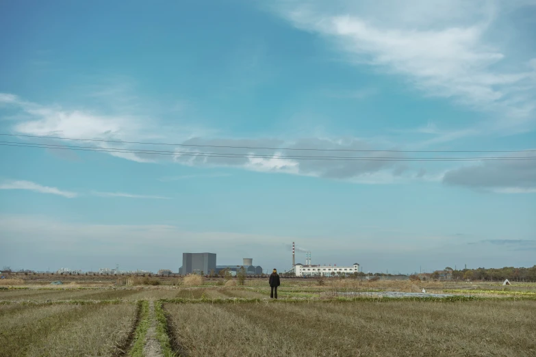 a person flying a kite on top of a field