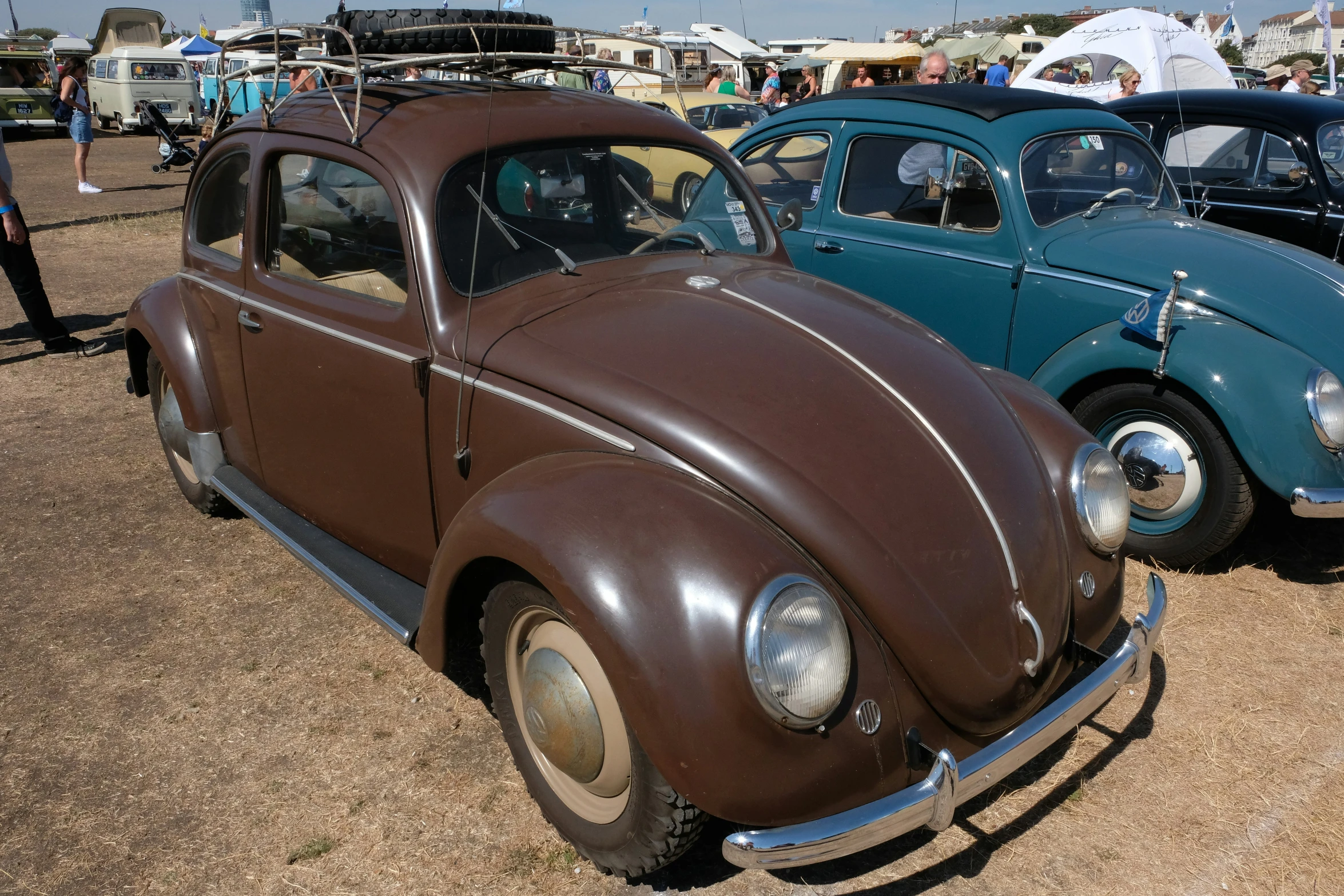 a brown and blue beetle next to a white car