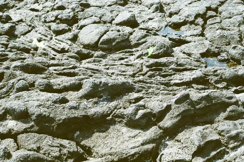 a yellow fire hydrant is near some rocks