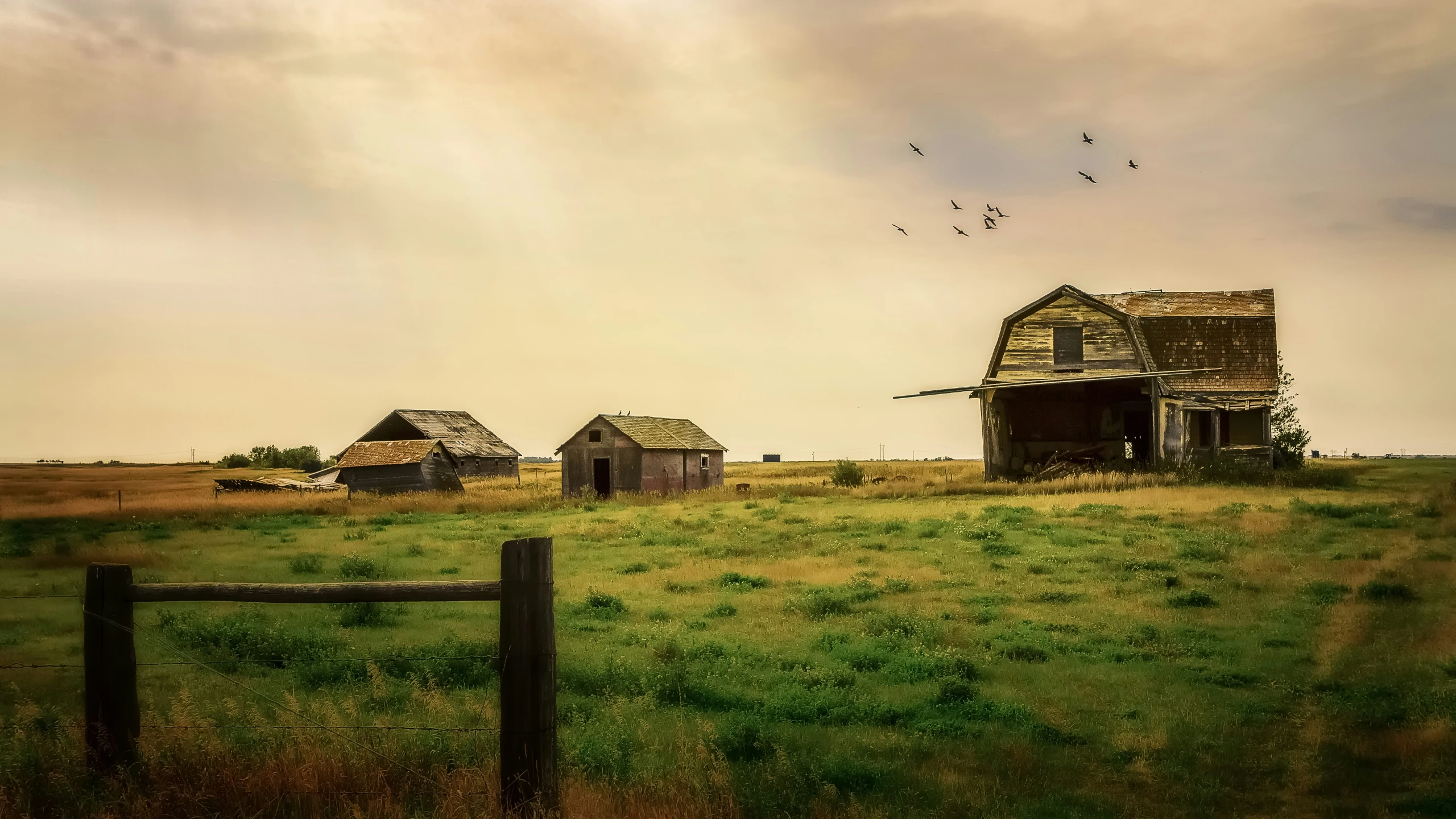 an old house on a grassy hill that has birds flying in the sky