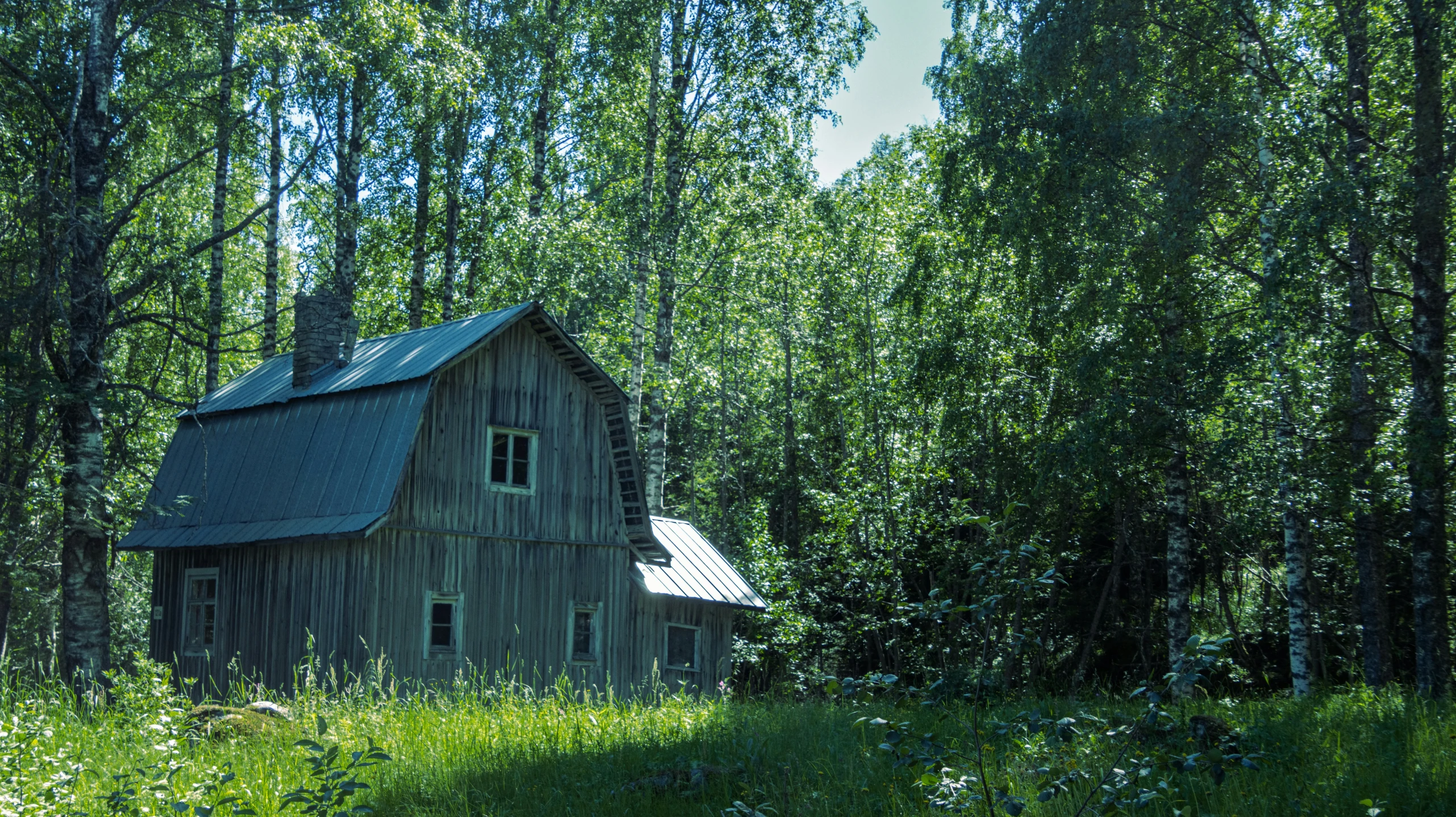 a run down house in the middle of a woods