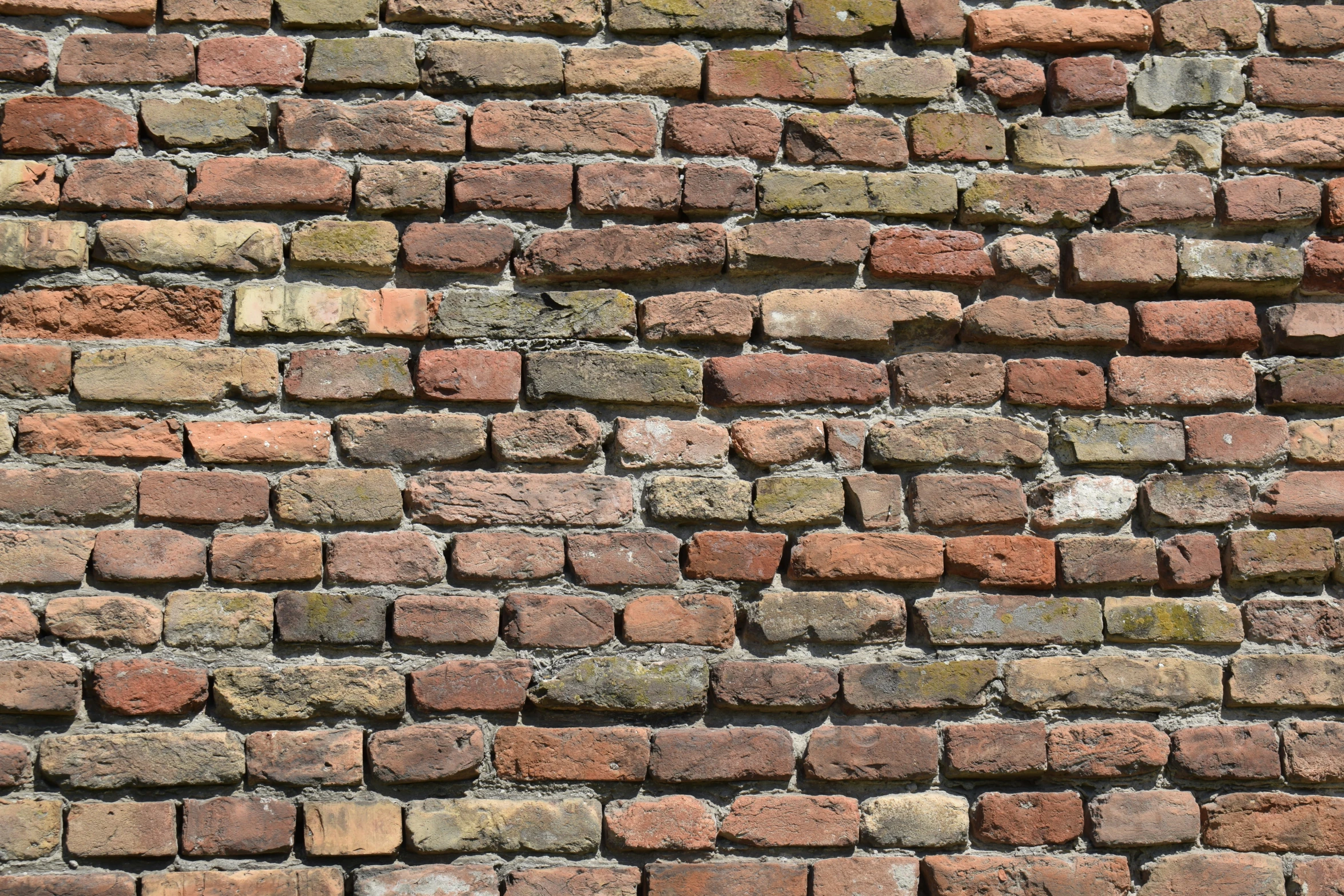 a close up s of a brick wall with a bird sitting on top