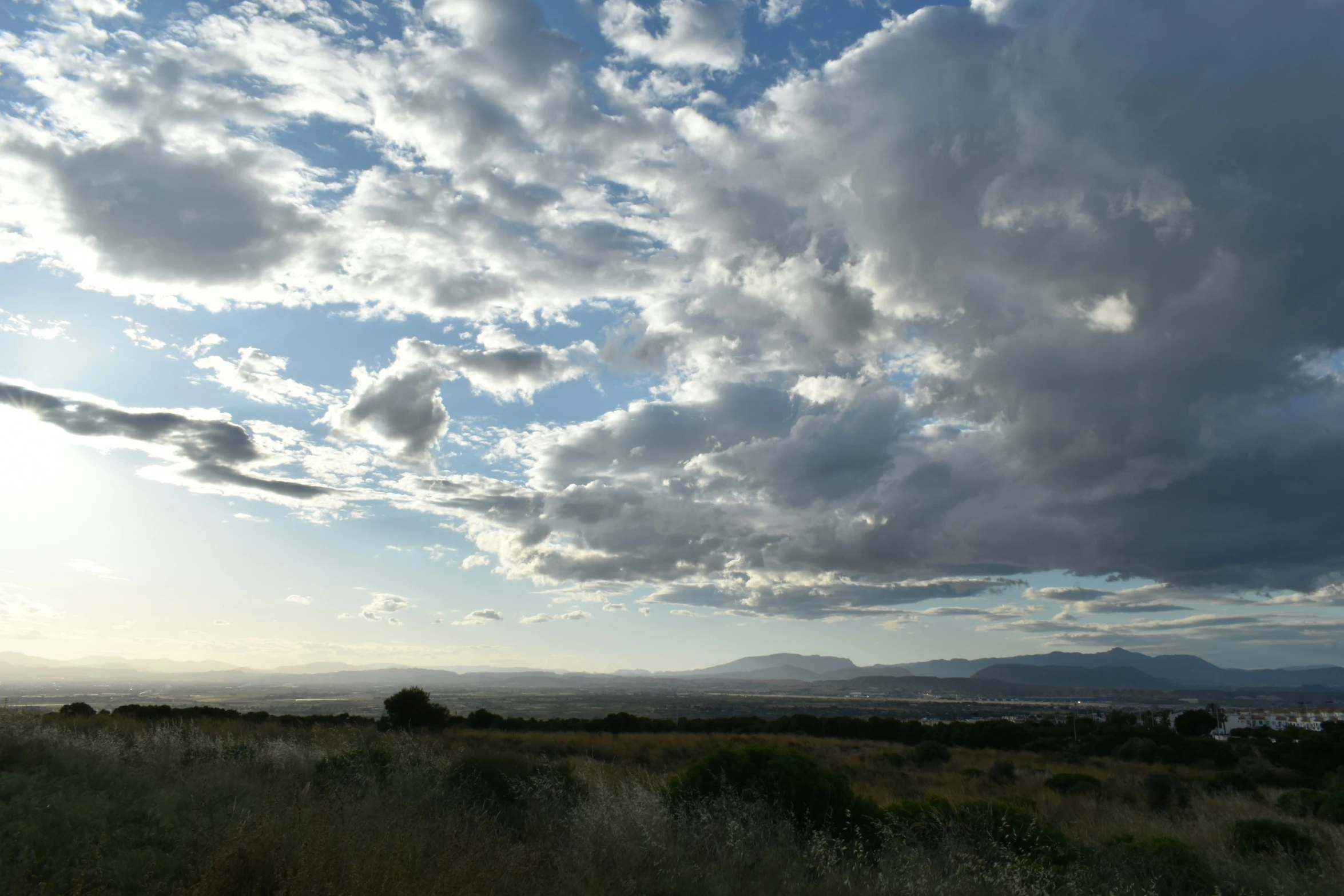 the sky has clouds and some green plants