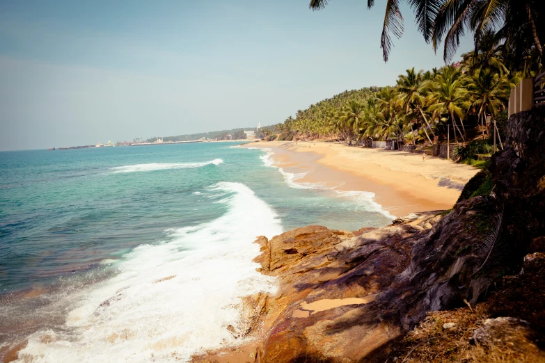 a beautiful beach with waves in the ocean and a long row of palm trees