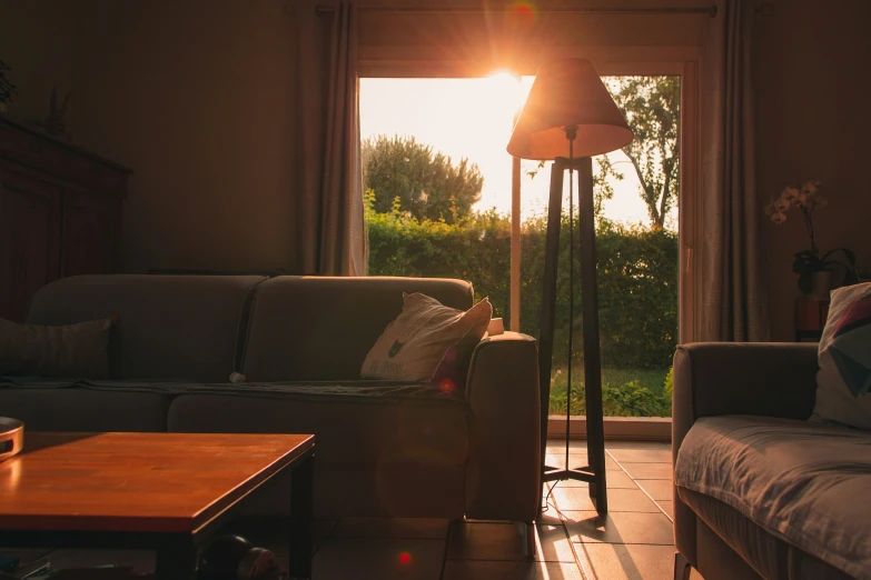 a living room has sun going through the window