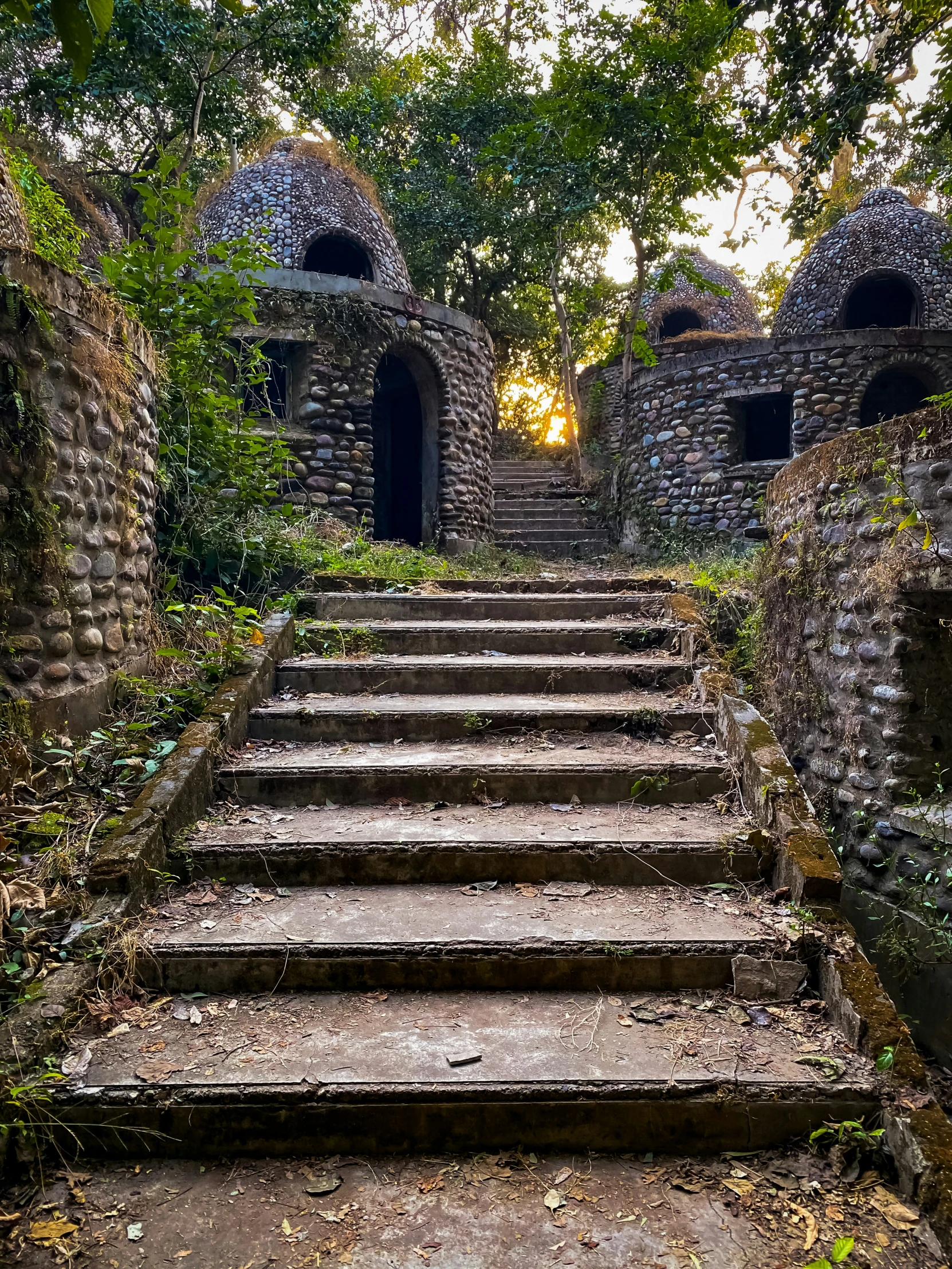 an ancient set of stairs in the forest