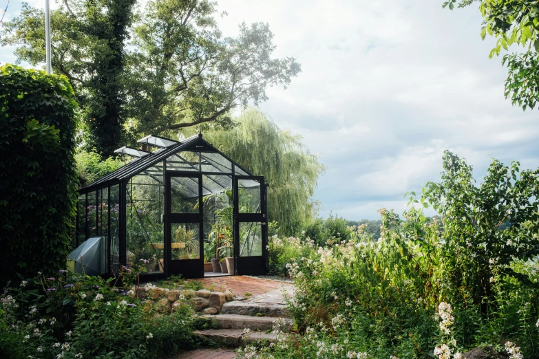 an outdoor greenhouse on a path in the forest