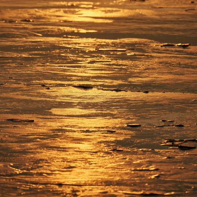 the sun shines brightly on a sandy beach at sunset