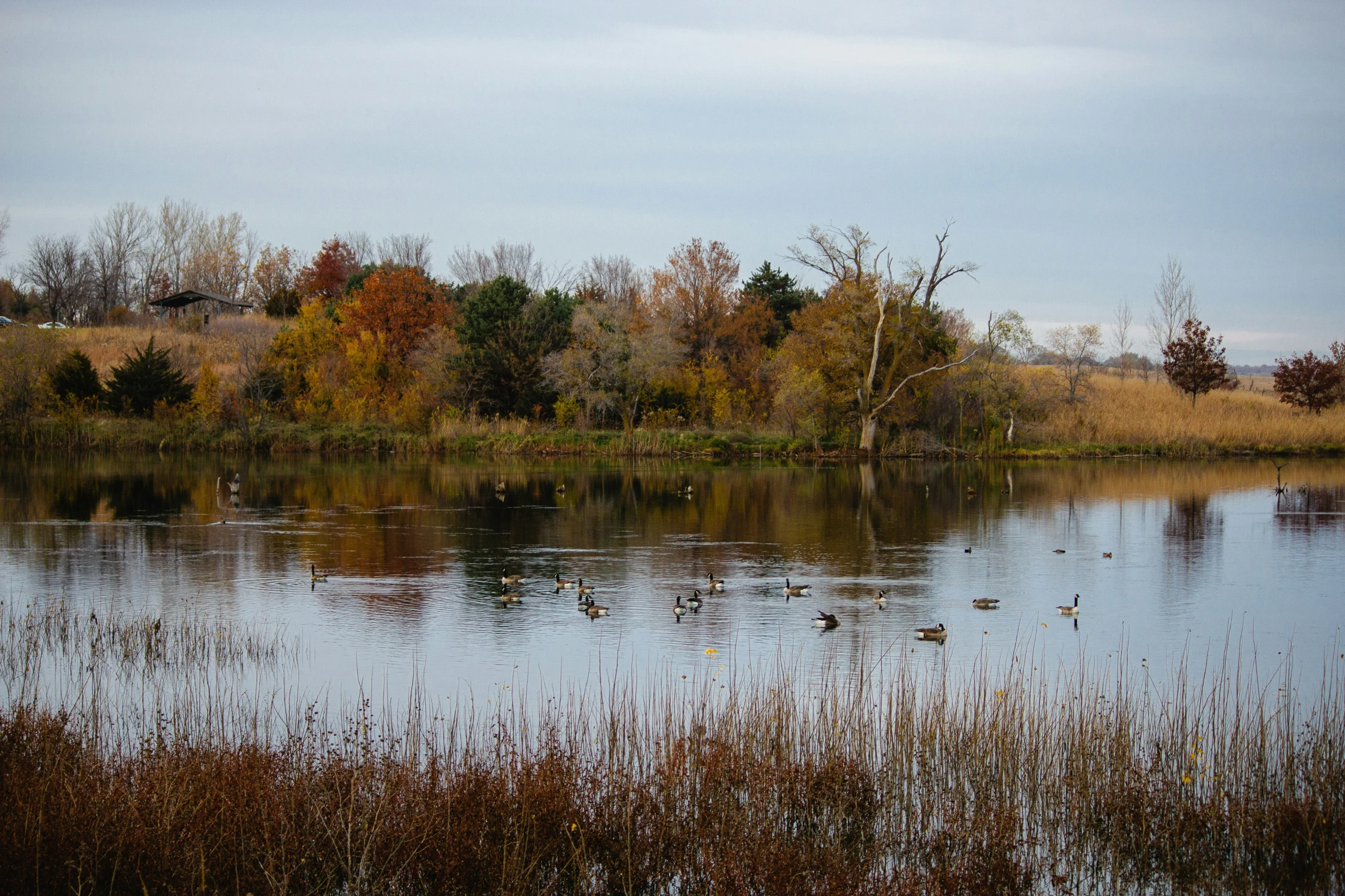 a lake surrounded by brown brush on the banks