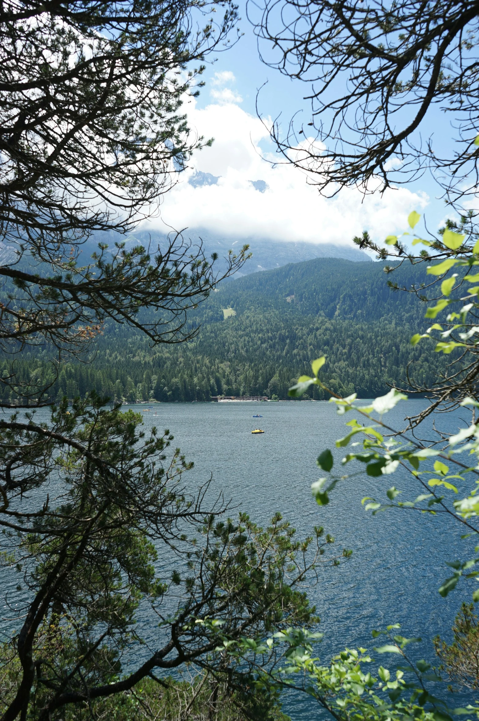 a large lake is surrounded by trees and mountains
