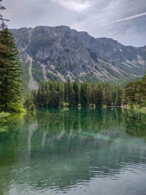 there are green trees and water in this lake