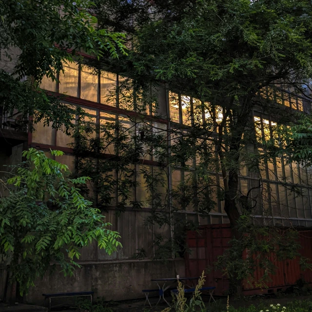 a wall that is covered by trees next to a building