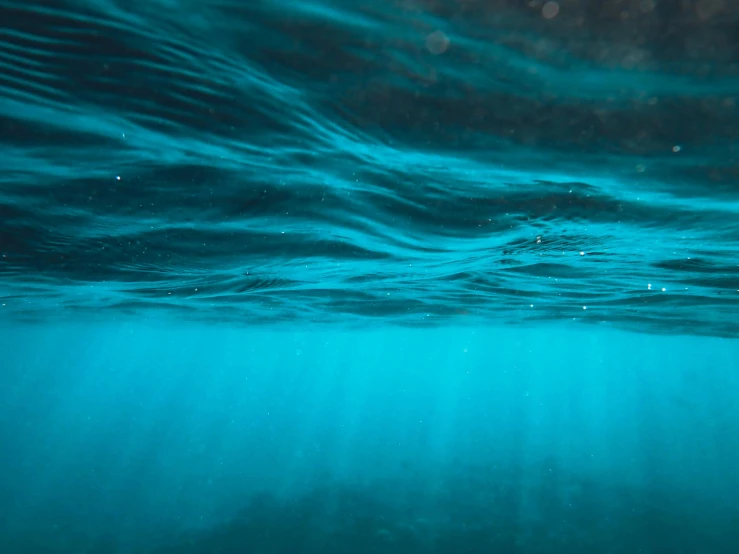 a sea surface with water vapor visible on top of it