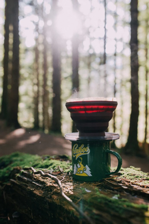 a cup is sitting on top of a log in the forest