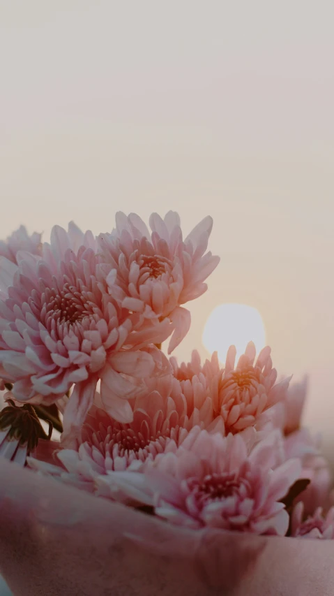 pink flowers are arranged in a vase on a shelf