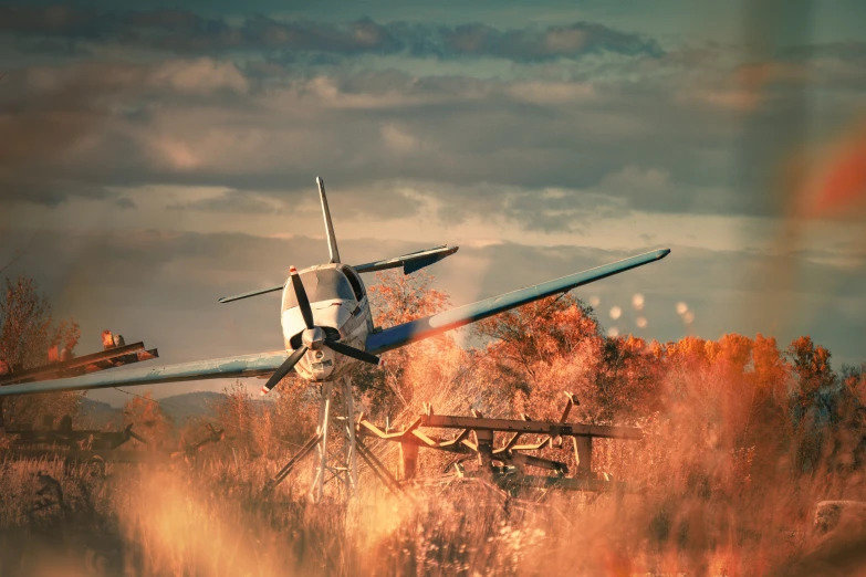 an old, broken airplane sits near the woods