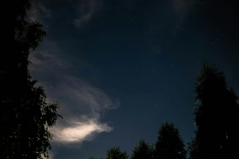 trees and a cloudy night sky with stars in the sky