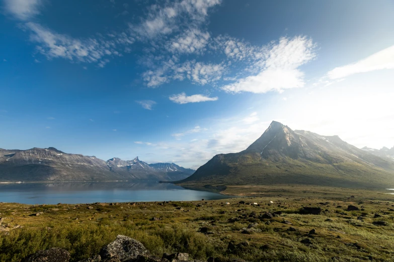 a big grassy plain with some mountains in the background