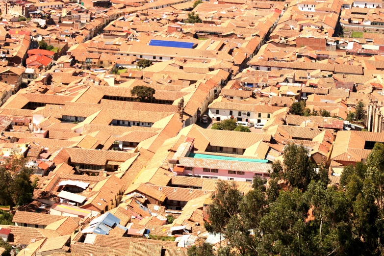 old tiled roof houses sit in an area of trees