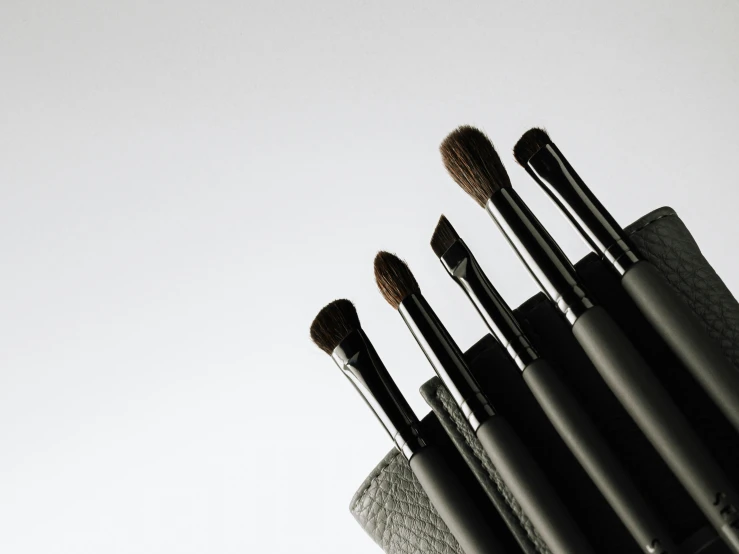 a set of 6 brushes with an empty holder
