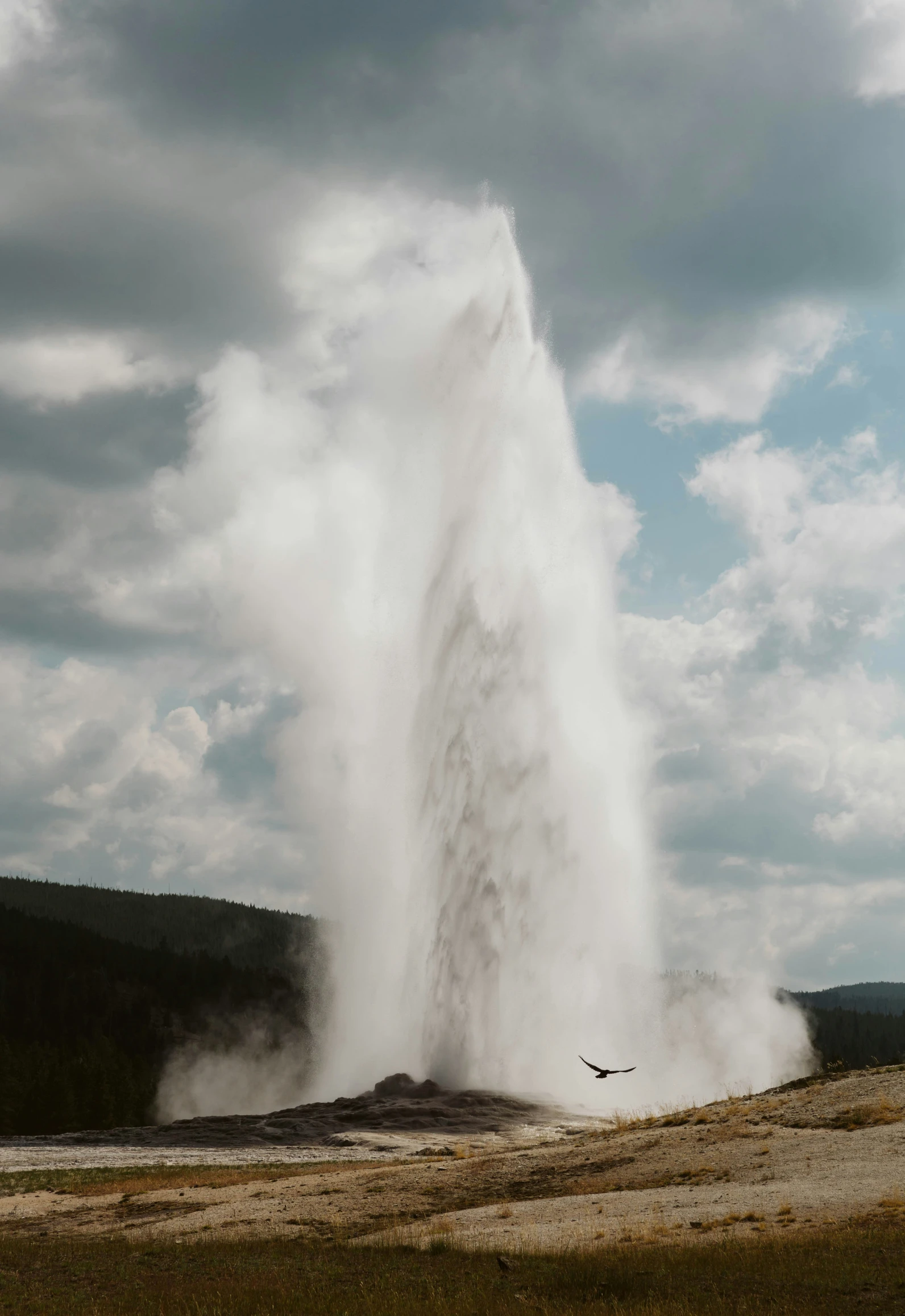 a large geyser erupts water as it rises from a field