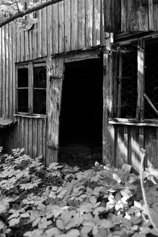 black and white image of a wooden building with window