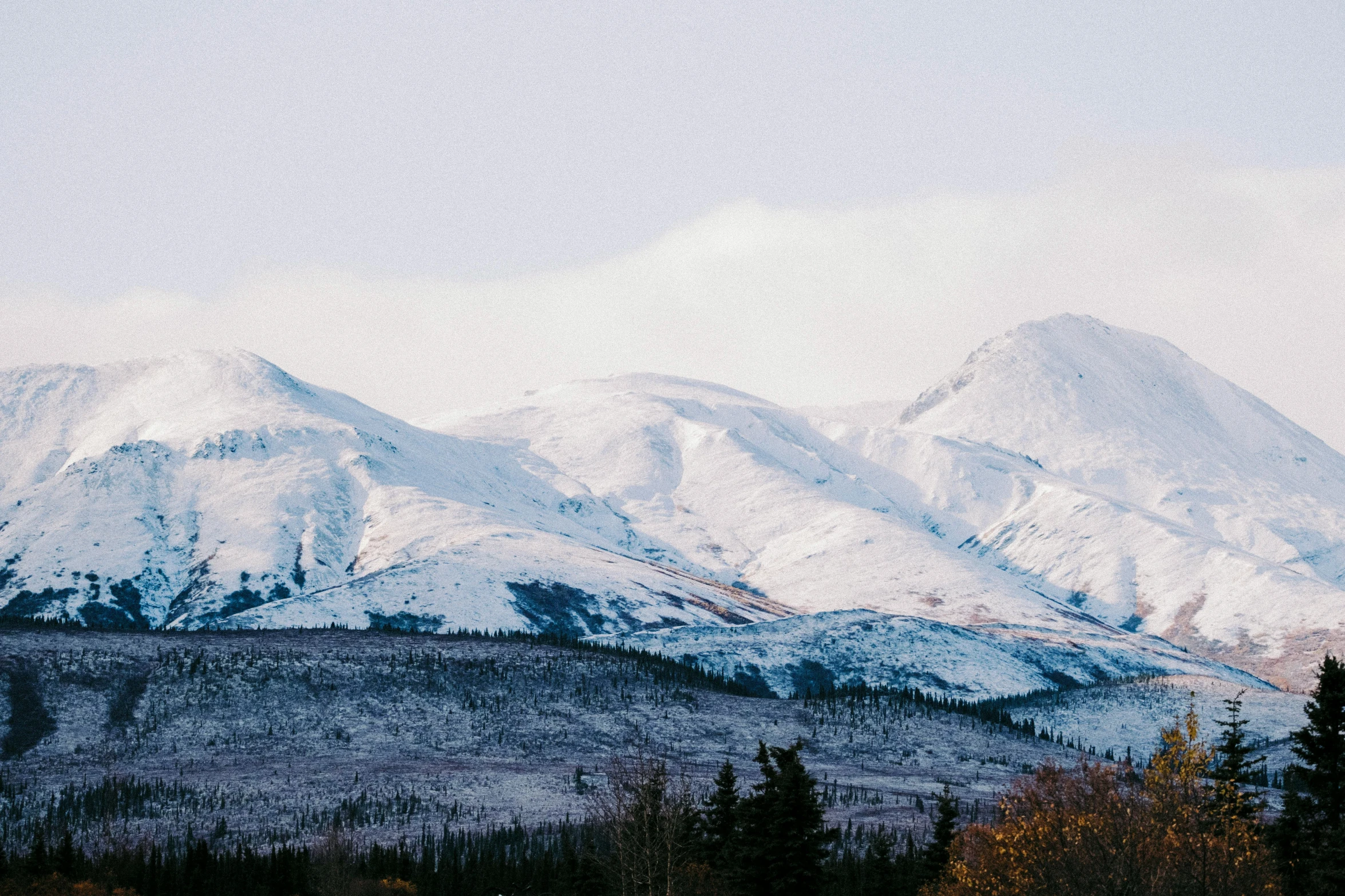 an alpine mountain covered in snow and trees