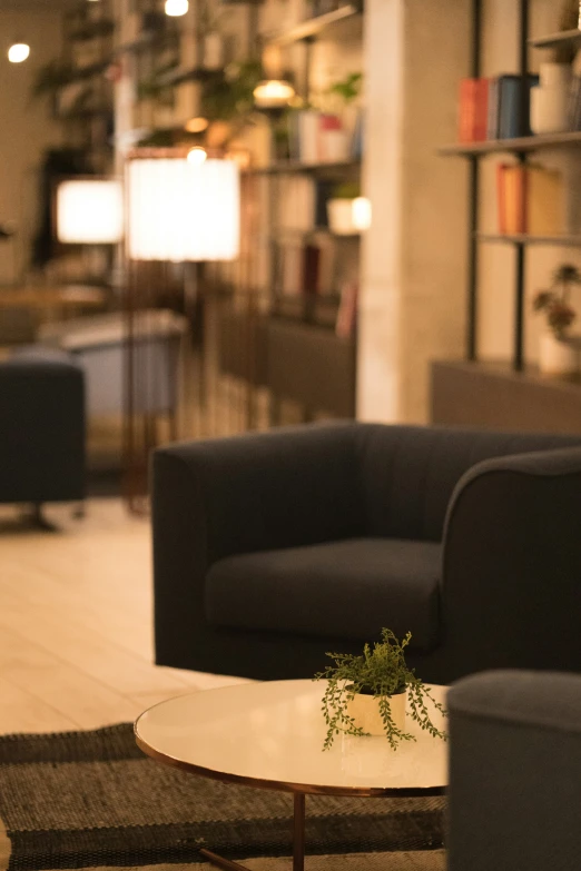 a small green plant is sitting on the table in front of chairs