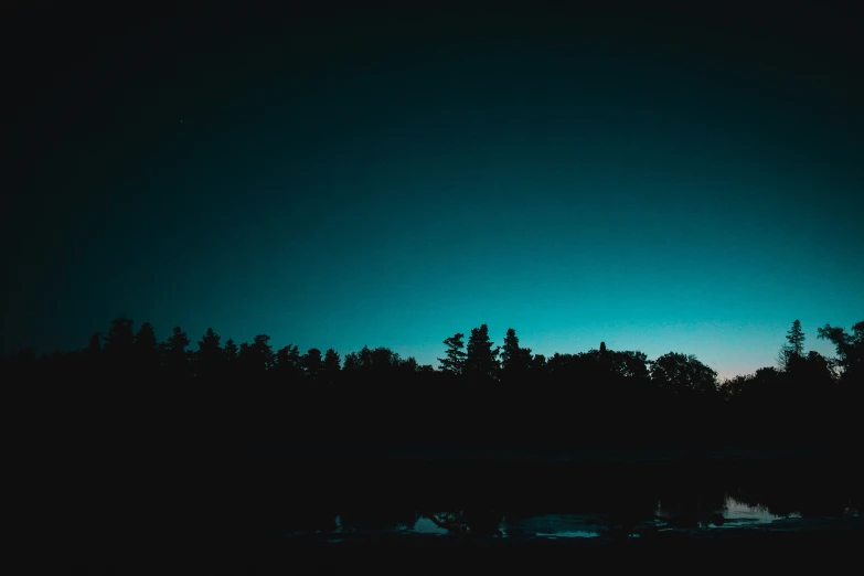 a night scene with dark trees and some bright blue lights