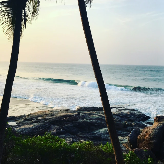 a couple of palm trees standing on top of a beach