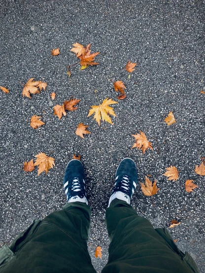 a person wearing blue shoes with a pair of green pants underneath their feet, surrounded by yellow leaves