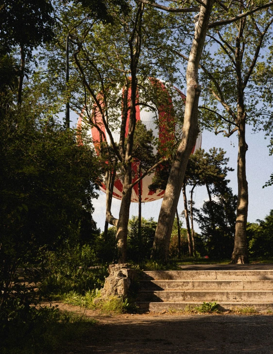 a wooded area with stone steps and tree lined pathway