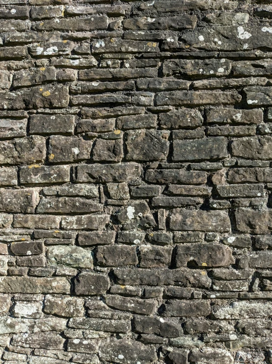 an old brick wall with some tiny spots on it