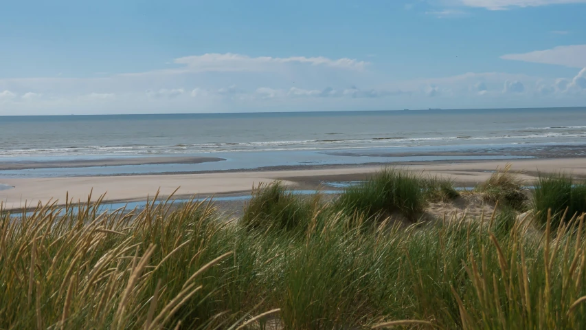 two people walking on the beach with a surfboard