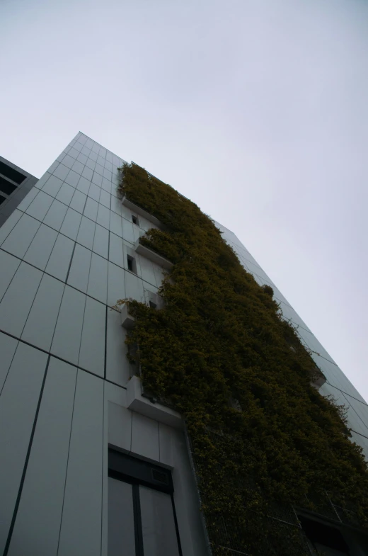 a building with a tree growing out the side