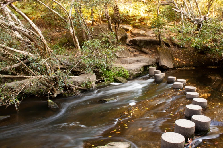 small stream surrounded by a few trees and rocks