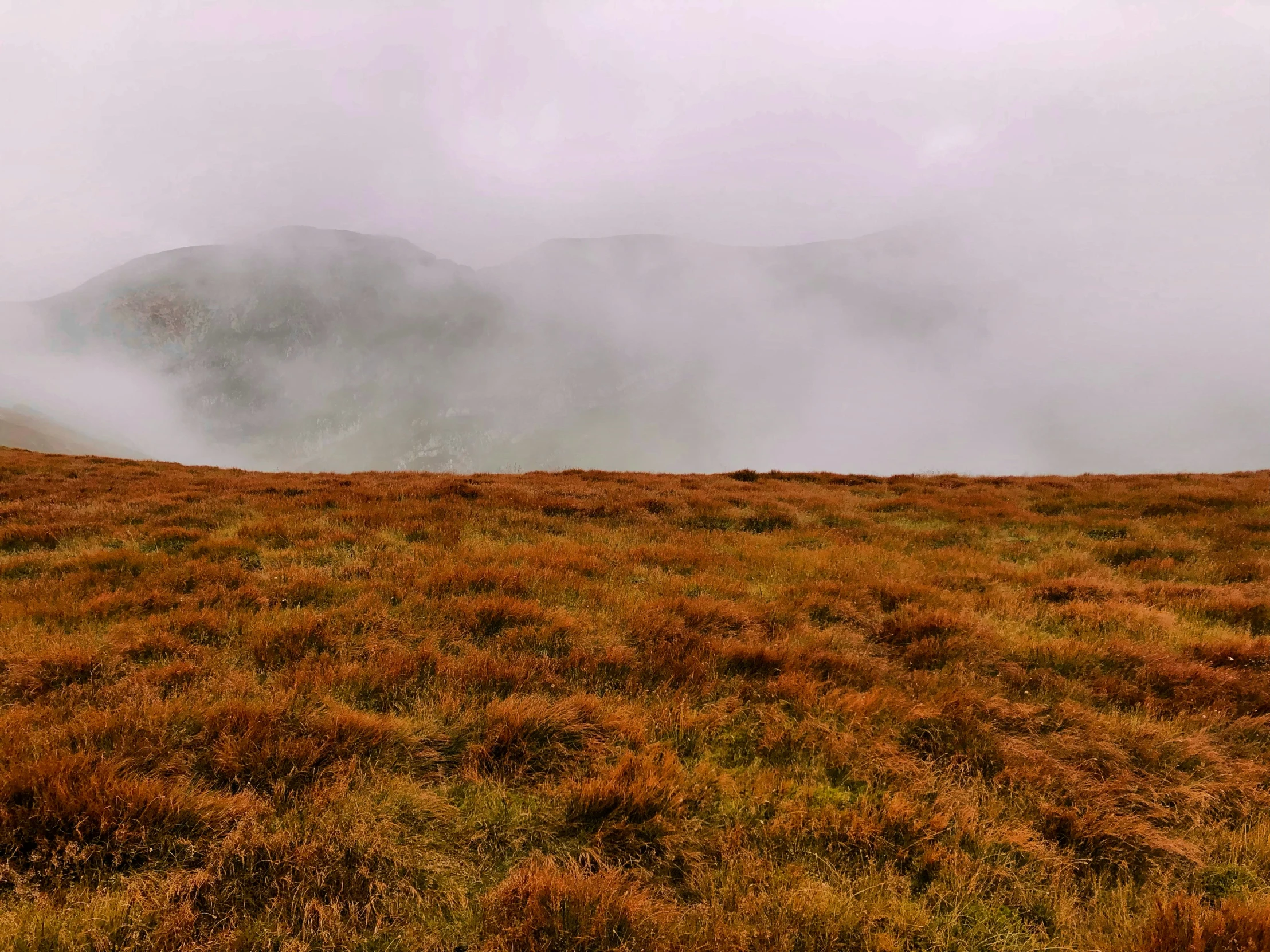 a lone bench in a grassy field near a mountain