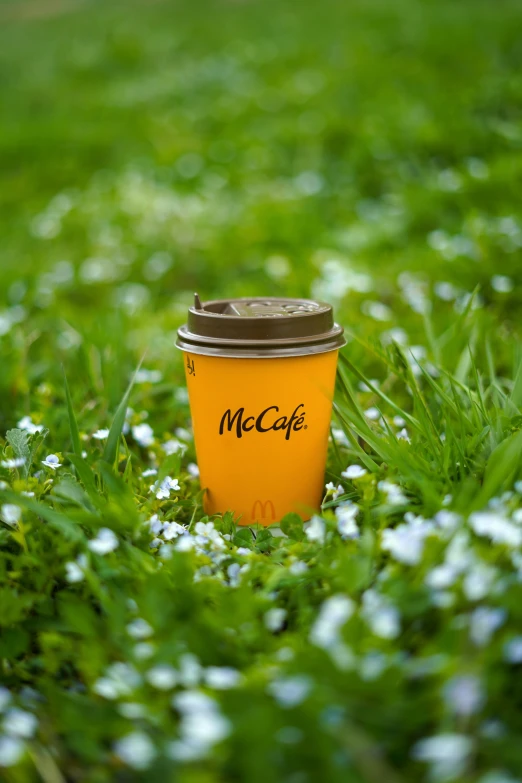 a yellow cup that is sitting in the grass