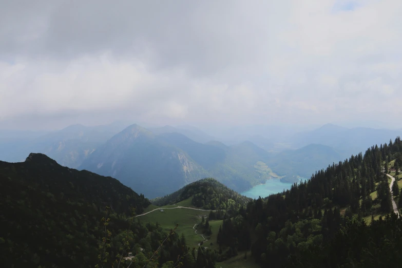 the landscape with trees, mountains and grass in the foreground