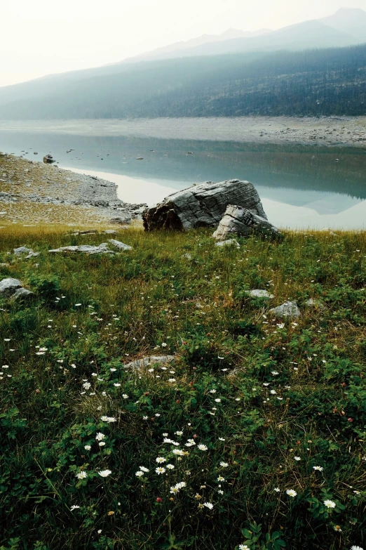 a small rock in a grassy field next to a lake