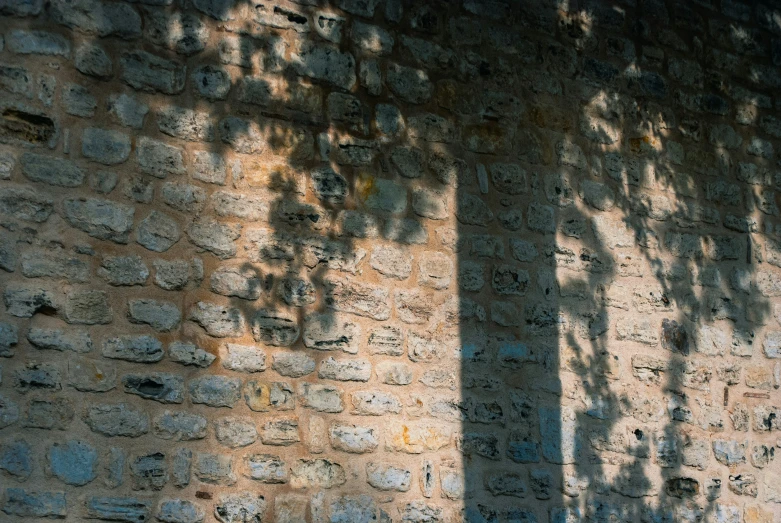 the shadow on the brick wall of a tree