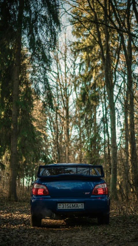 a blue car parked next to some tall trees