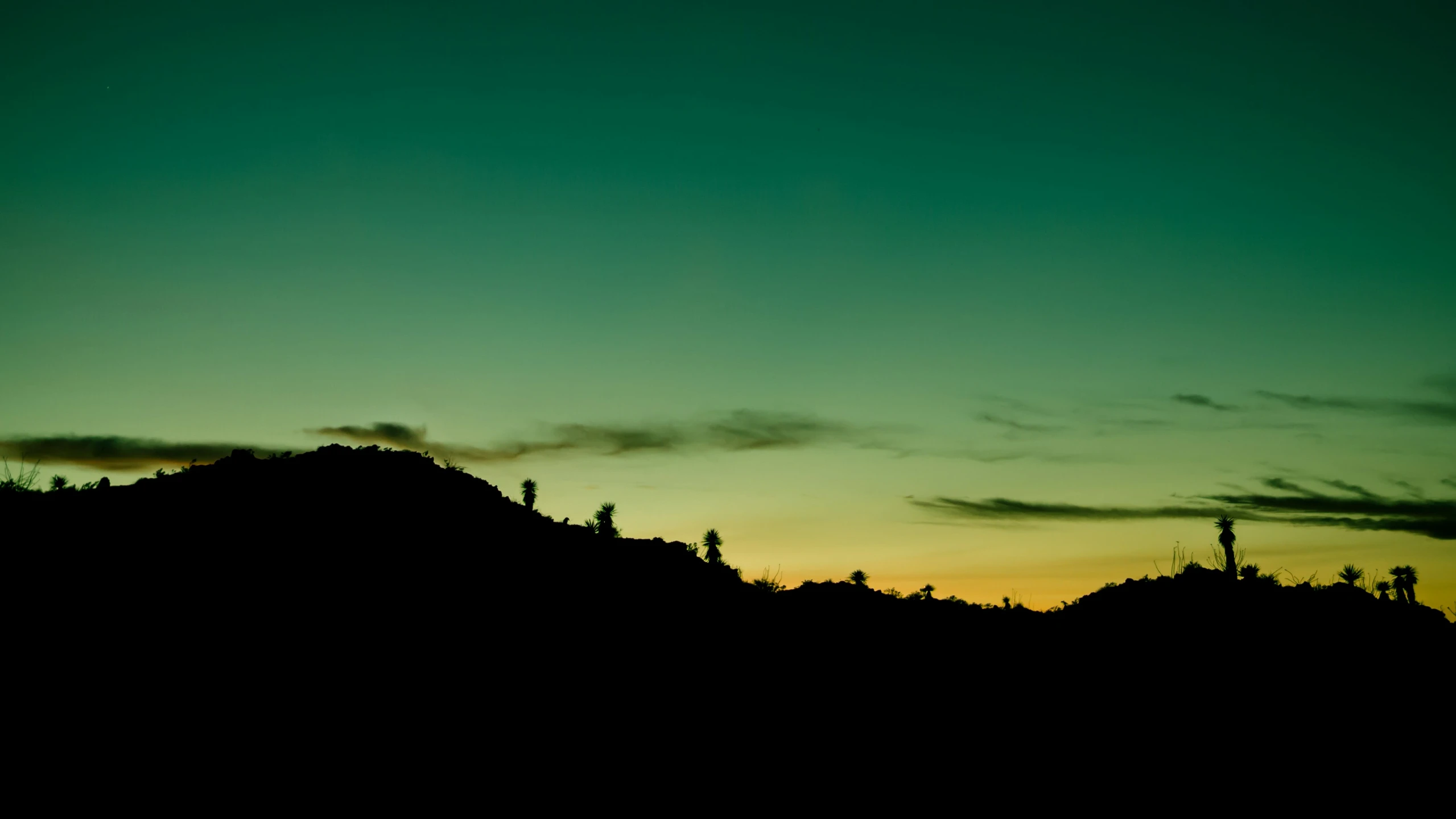 a hillside that has trees on it and lights in the sky