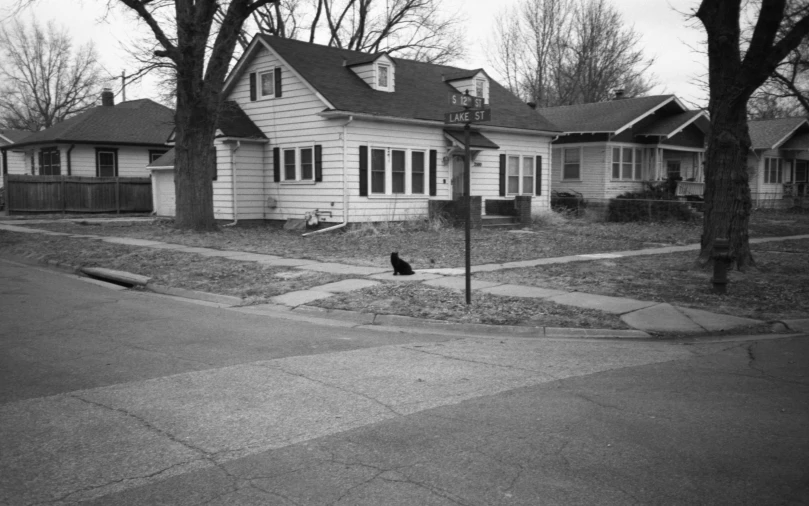 a single black bird sits in the grass next to the corner of a street