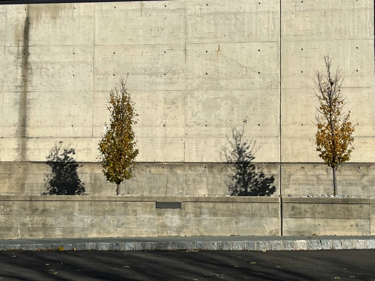 three large concrete blocks are with trees in the back ground