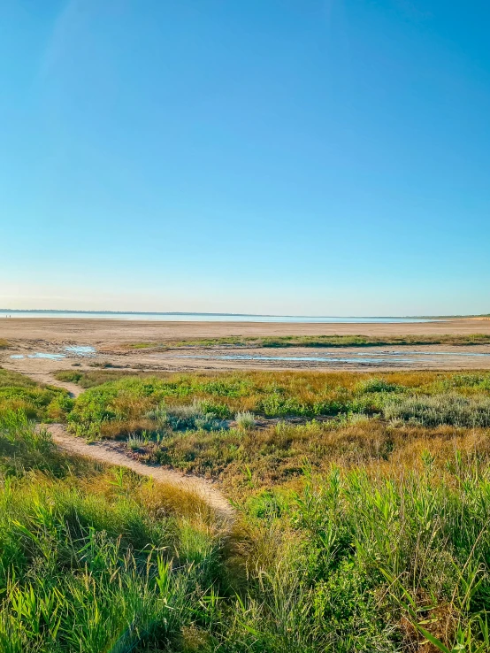 a large open grassy field with lots of water